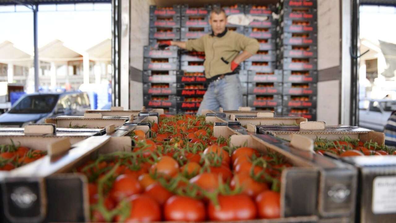 Hortumun Faturası Ağır oldu: İşte Antalya Hali Güncel Fiyat Listesi 4